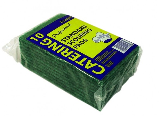[CM123] Green Scourers Large x 10 2+1