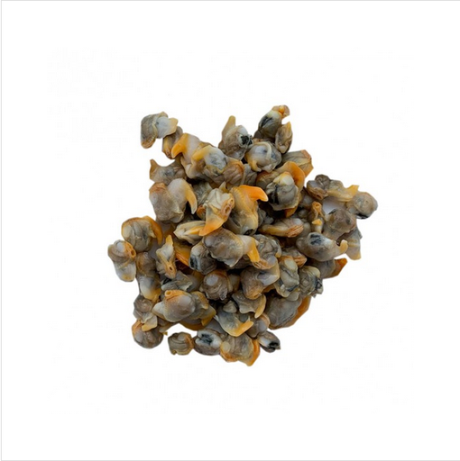 [FS309] Frozen Cockles (Clam Meat) x 1kg