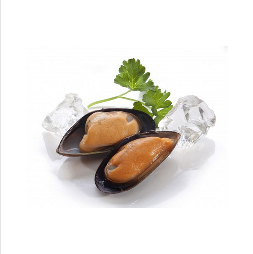 [ORF221] *USE ORF222* Half Shell Mussels Packet x 800g